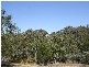 Tenterfield NSW 2372
