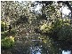 Tenterfield NSW 2372