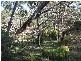Tenterfield NSW 2372