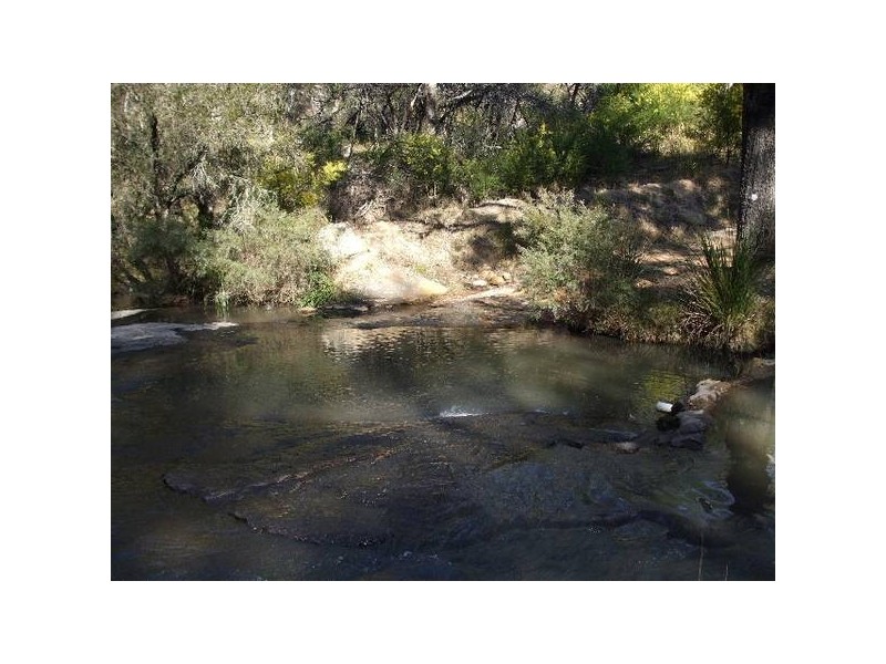 Tenterfield NSW 2372