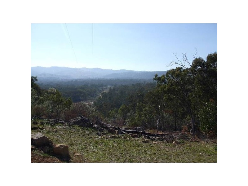 Tenterfield NSW 2372