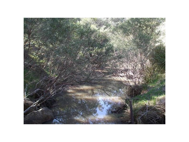 Tenterfield NSW 2372