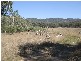 Tenterfield NSW 2372