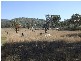 Tenterfield NSW 2372