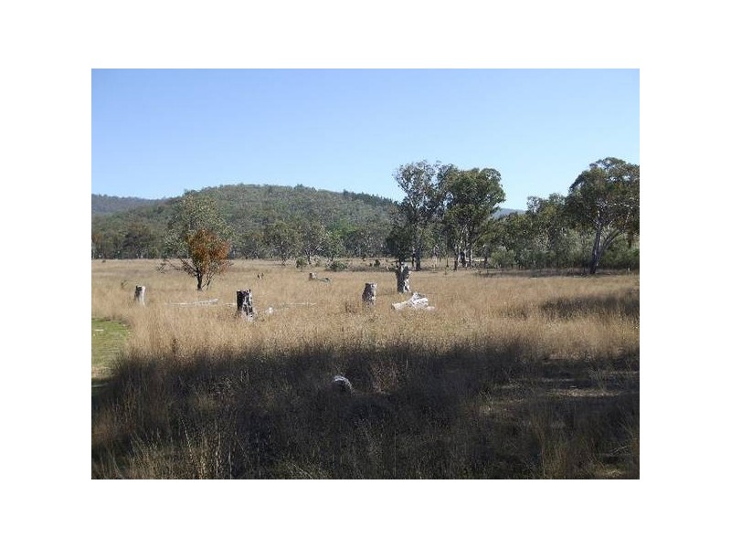 Tenterfield NSW 2372