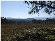 Tenterfield NSW 2372
