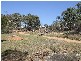 Tenterfield NSW 2372