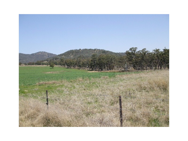 Tenterfield NSW 2372