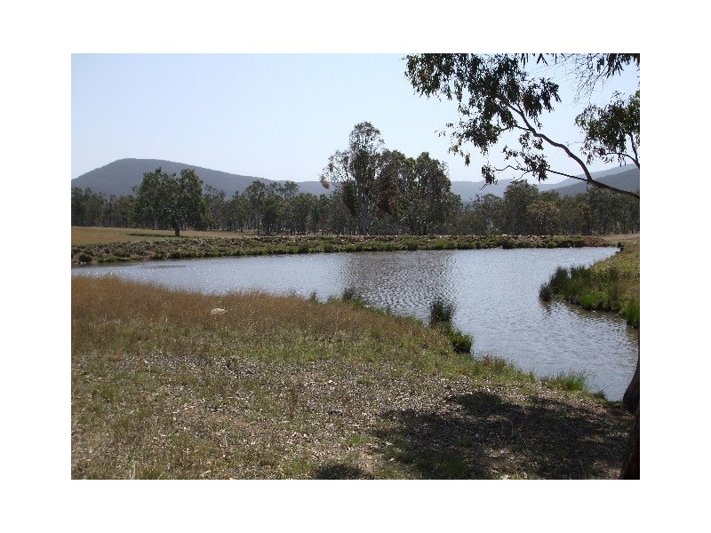 Tenterfield NSW 2372