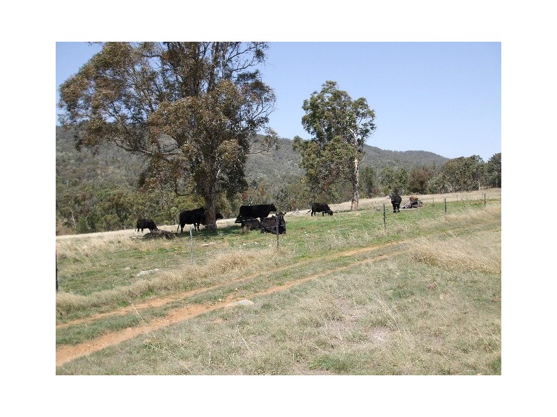 Tenterfield NSW 2372