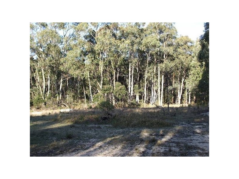 Tenterfield NSW 2372