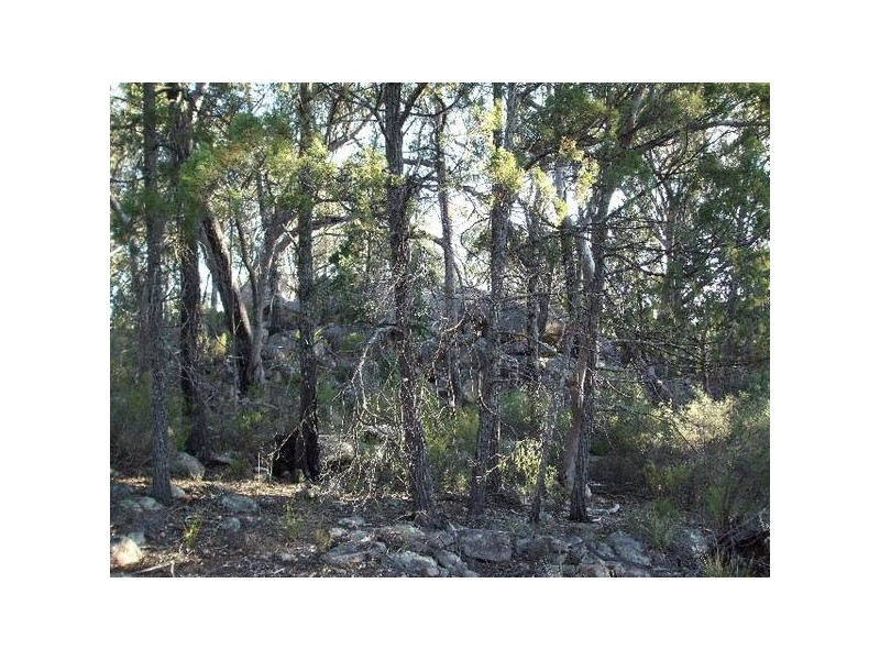 Tenterfield NSW 2372