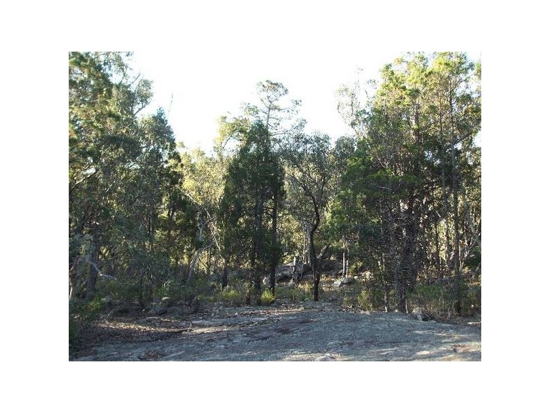 Tenterfield NSW 2372