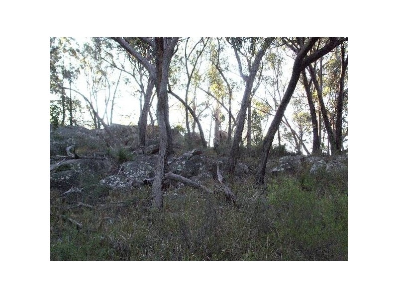 Tenterfield NSW 2372