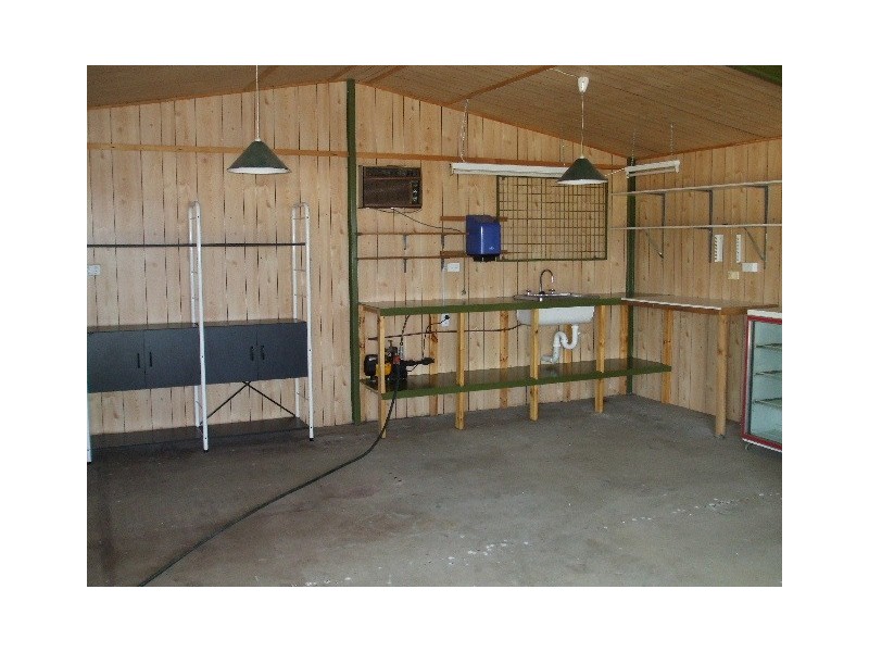 Tenterfield NSW 2372