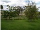 Tenterfield NSW 2372