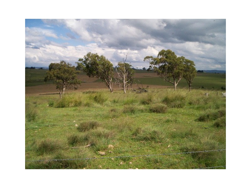 Tenterfield NSW 2372