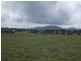 Tenterfield NSW 2372