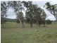 Tenterfield NSW 2372