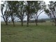 Tenterfield NSW 2372