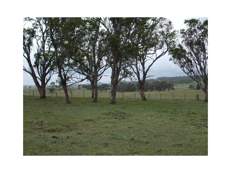 Tenterfield NSW 2372