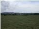 Tenterfield NSW 2372