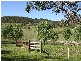 Tenterfield NSW 2372