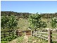 Tenterfield NSW 2372