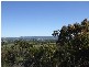 Tenterfield NSW 2372