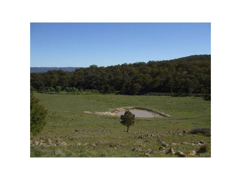 Tenterfield NSW 2372