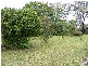 Tenterfield NSW 2372