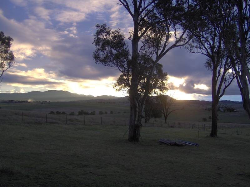 Tenterfield NSW 2372