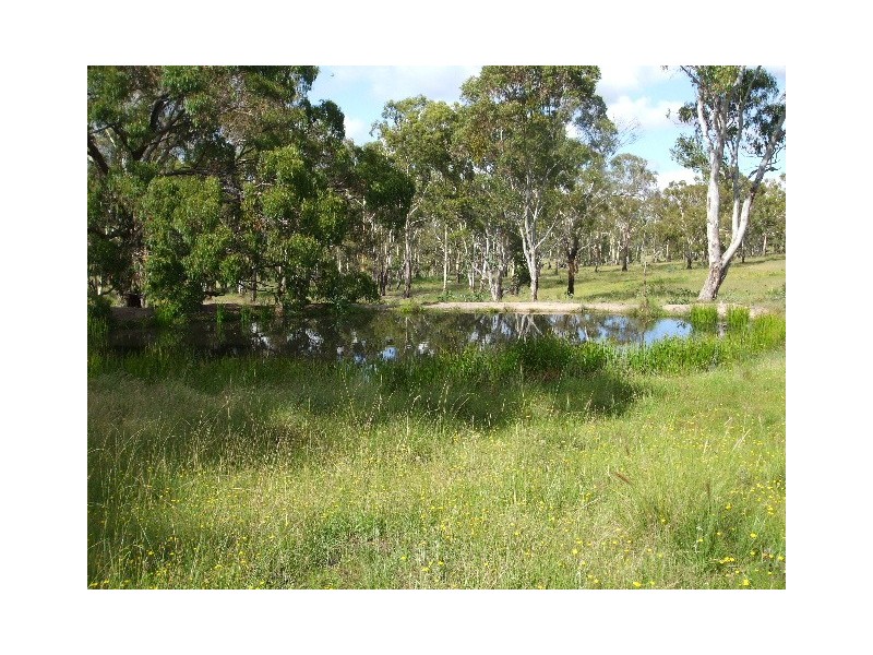 Tenterfield NSW 2372