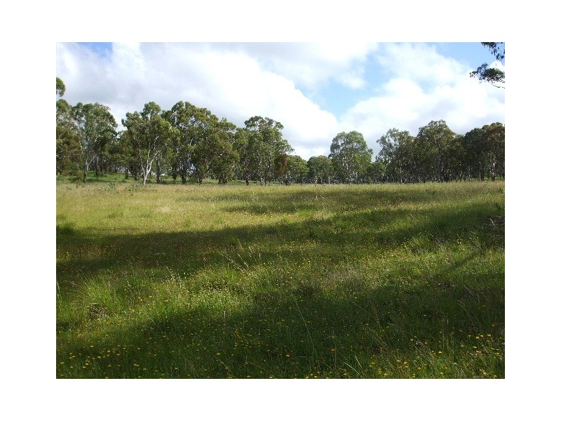 Tenterfield NSW 2372