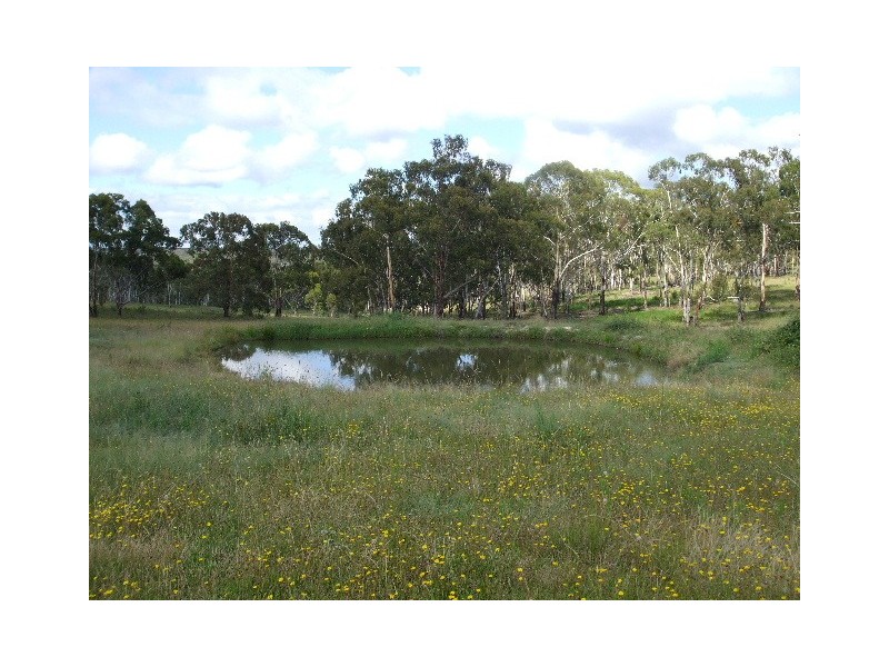 Tenterfield NSW 2372