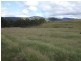Tenterfield NSW 2372