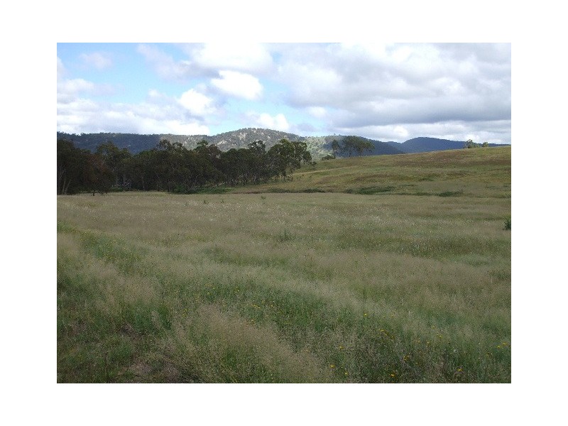 Tenterfield NSW 2372