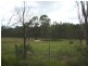 Tenterfield NSW 2372
