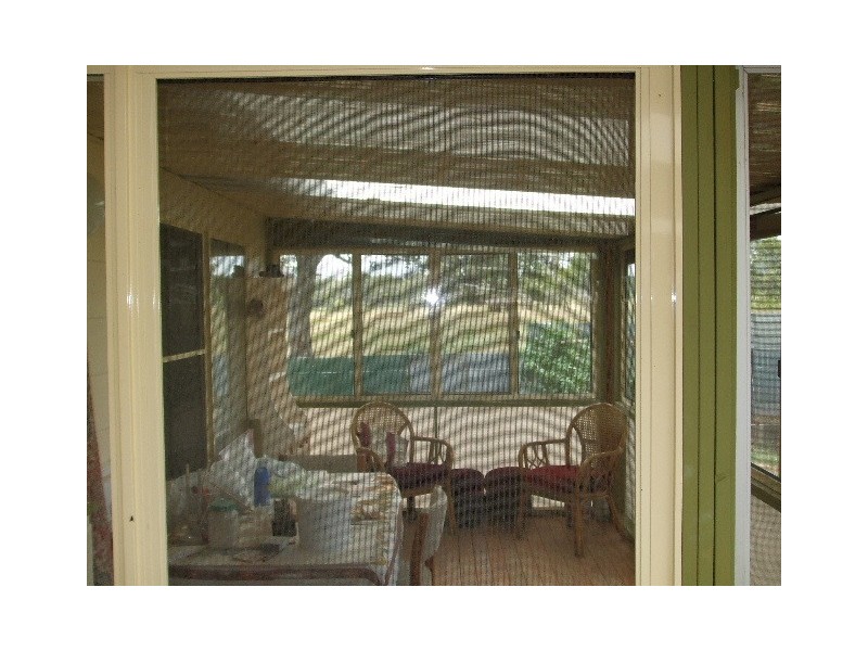 Tenterfield NSW 2372