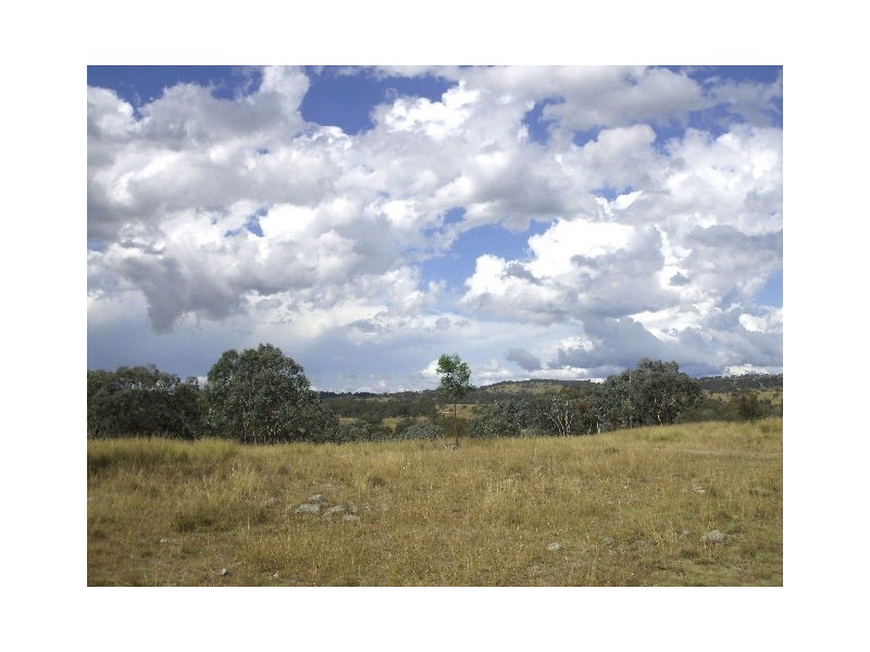 Tenterfield NSW 2372