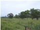 Tenterfield NSW 2372