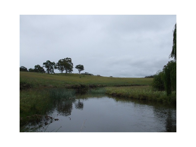 Tenterfield NSW 2372