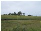 Tenterfield NSW 2372
