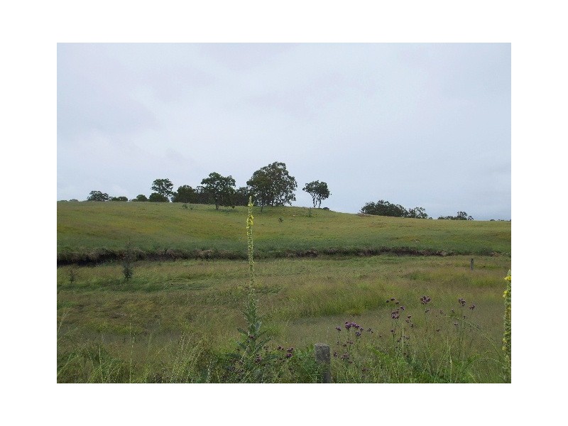 Tenterfield NSW 2372
