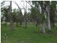 Tenterfield NSW 2372
