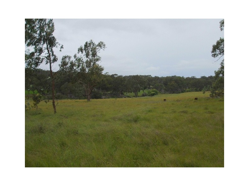 Tenterfield NSW 2372