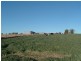 Tenterfield NSW 2372