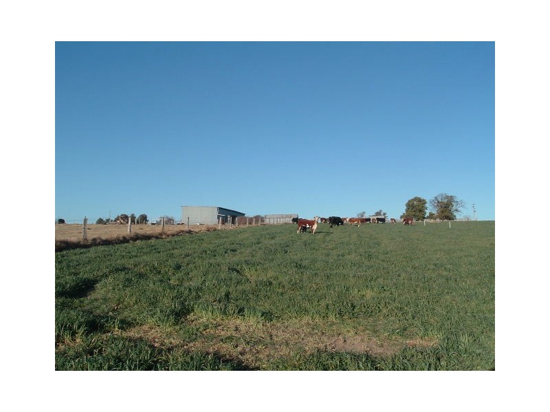 Tenterfield NSW 2372