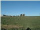 Tenterfield NSW 2372