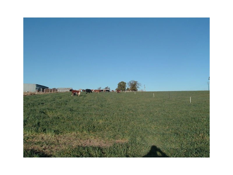Tenterfield NSW 2372